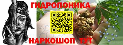 ешки Краснознаменск