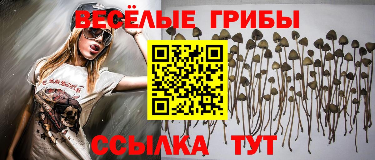 Псилоцибиновые грибы Psilocybe  Вход с VPN  Псилоцибиновые грибы Magic Shrooms  Красный Сулин 
